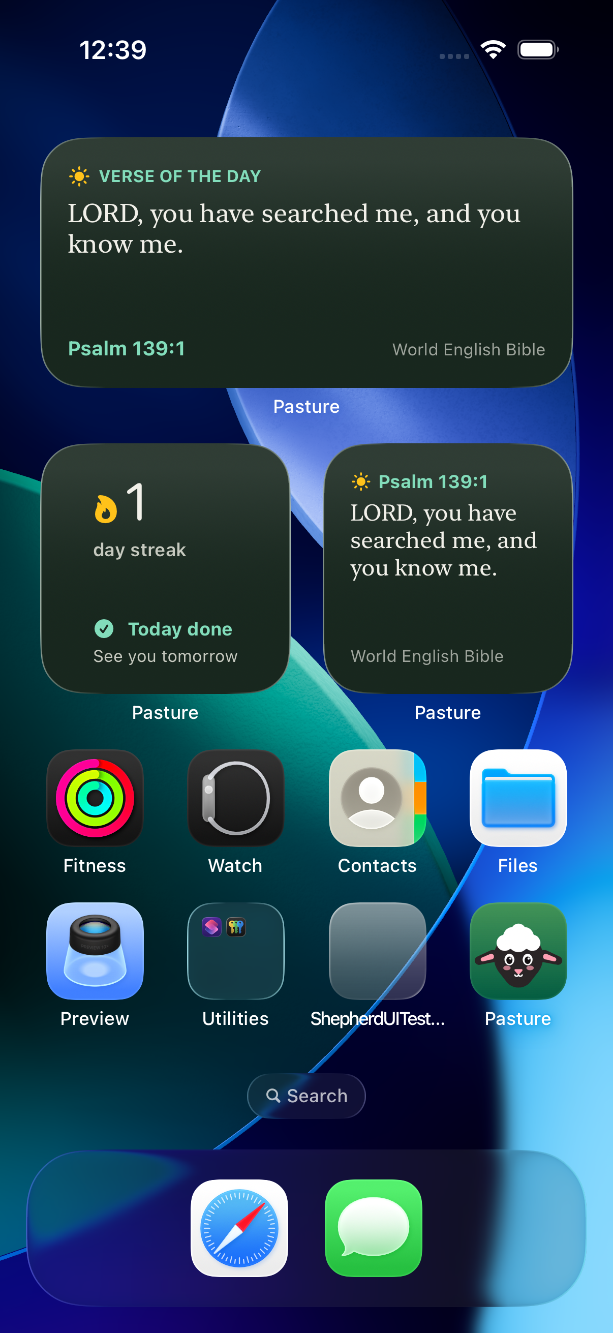 Pasture Home Screen widgets on iOS showing daily progress and companion